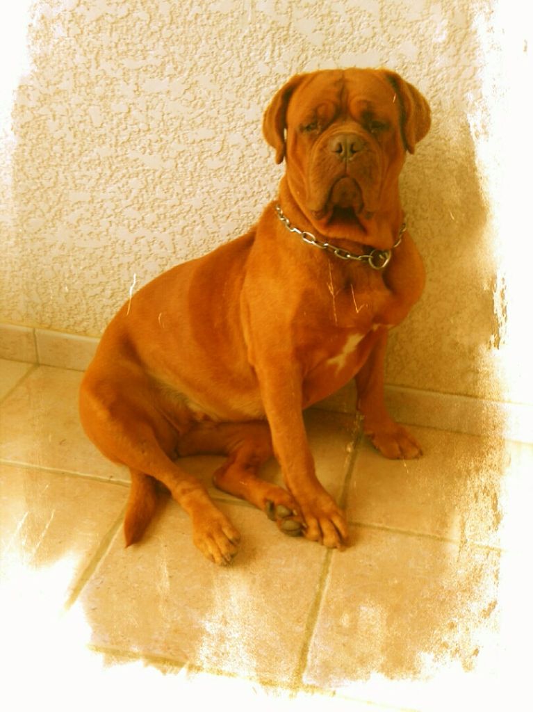 Iska